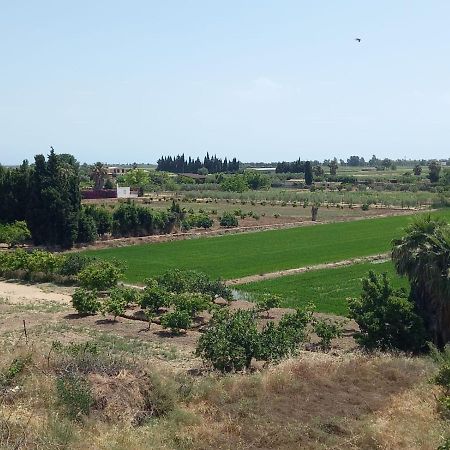 L'Hortet Del Iaio Camarles Εξωτερικό φωτογραφία